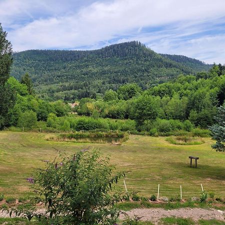 Gite Forestier Du Moulin Raon-sur-Plaine Buitenkant foto