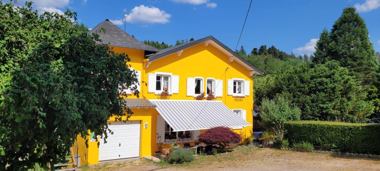Gite Forestier Du Moulin Raon-sur-Plaine Buitenkant foto