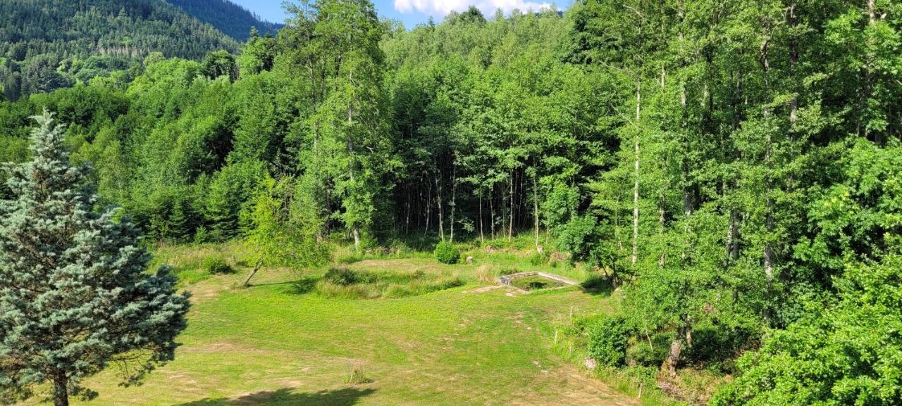 Gite Forestier Du Moulin Raon-sur-Plaine Buitenkant foto