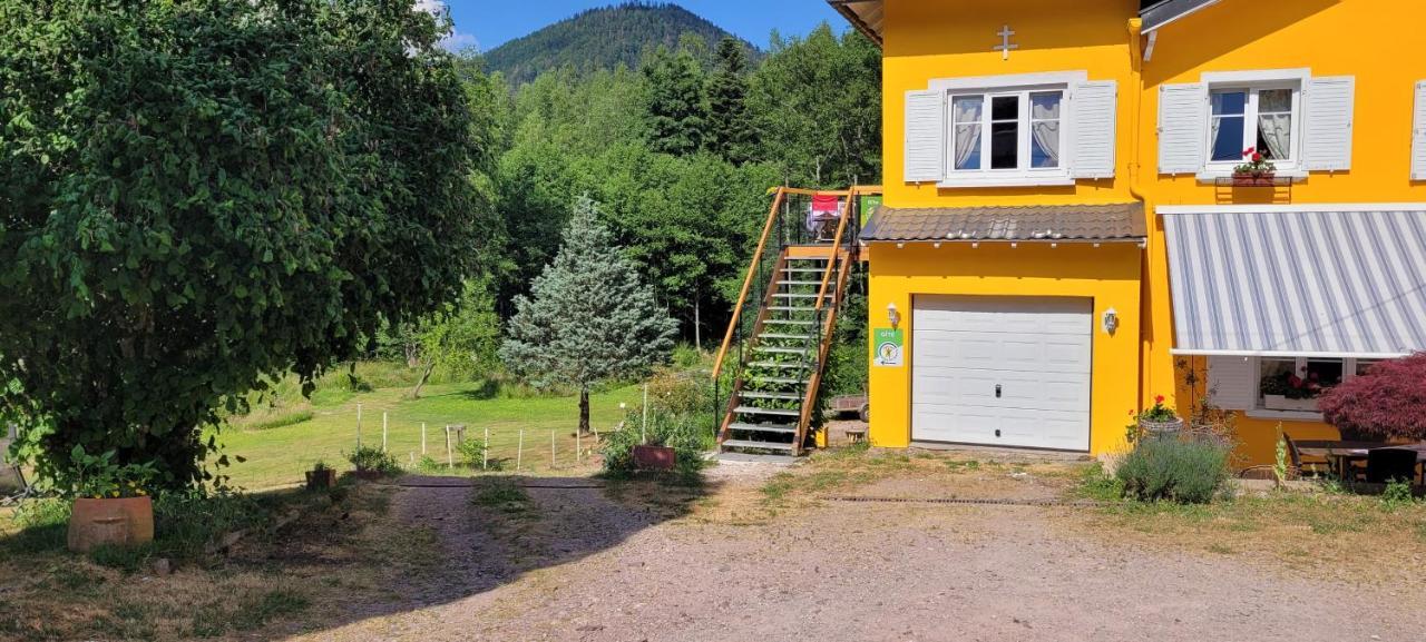 Gite Forestier Du Moulin Raon-sur-Plaine Buitenkant foto