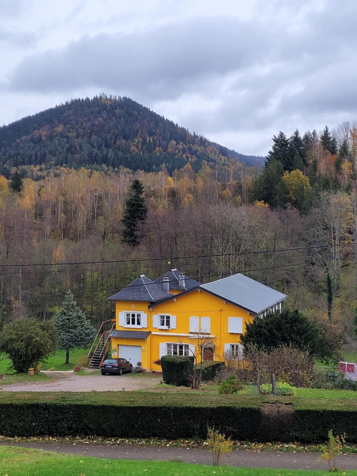 Gite Forestier Du Moulin Raon-sur-Plaine Buitenkant foto