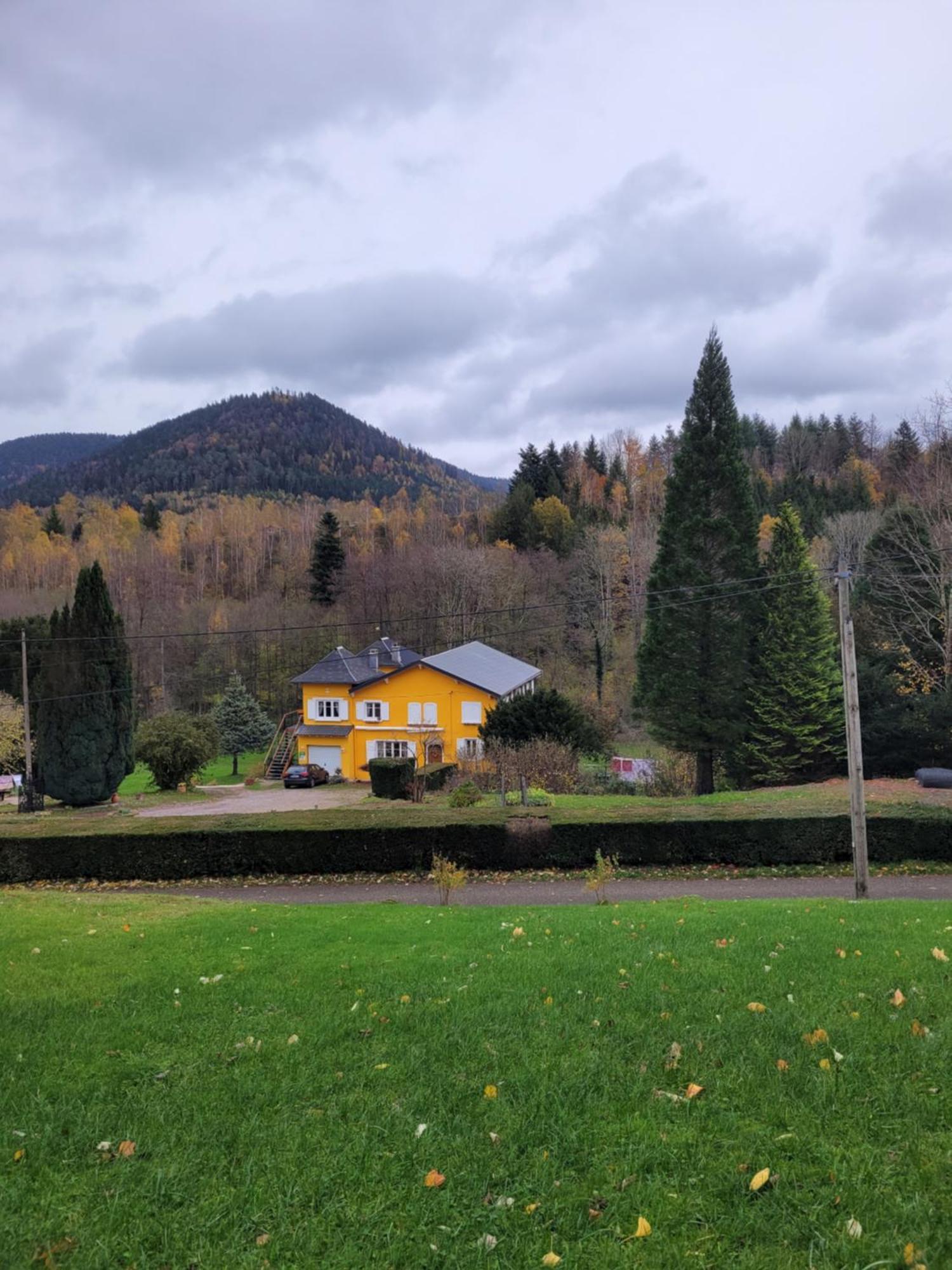 Gite Forestier Du Moulin Raon-sur-Plaine Buitenkant foto
