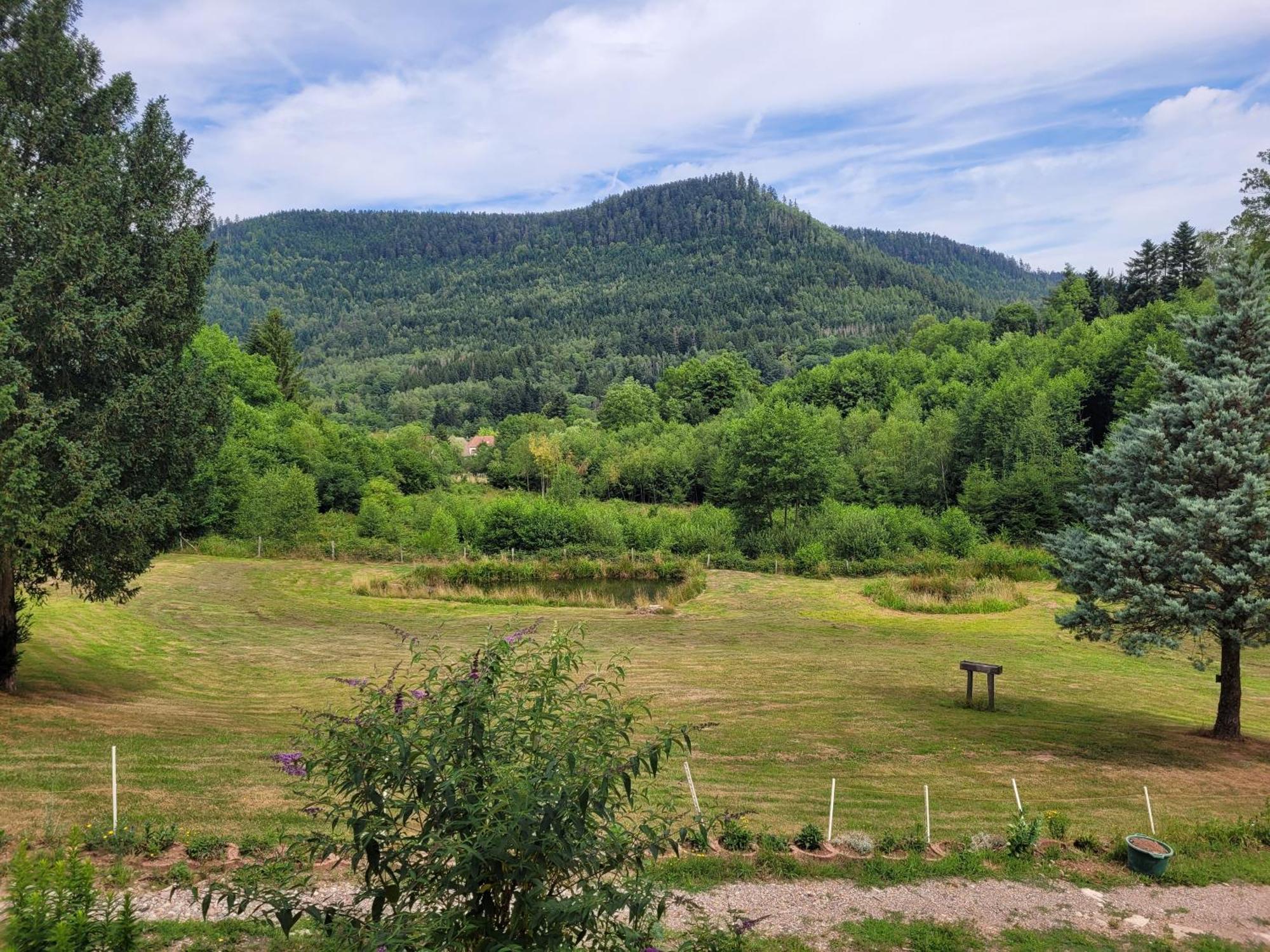 Gite Forestier Du Moulin Raon-sur-Plaine Buitenkant foto