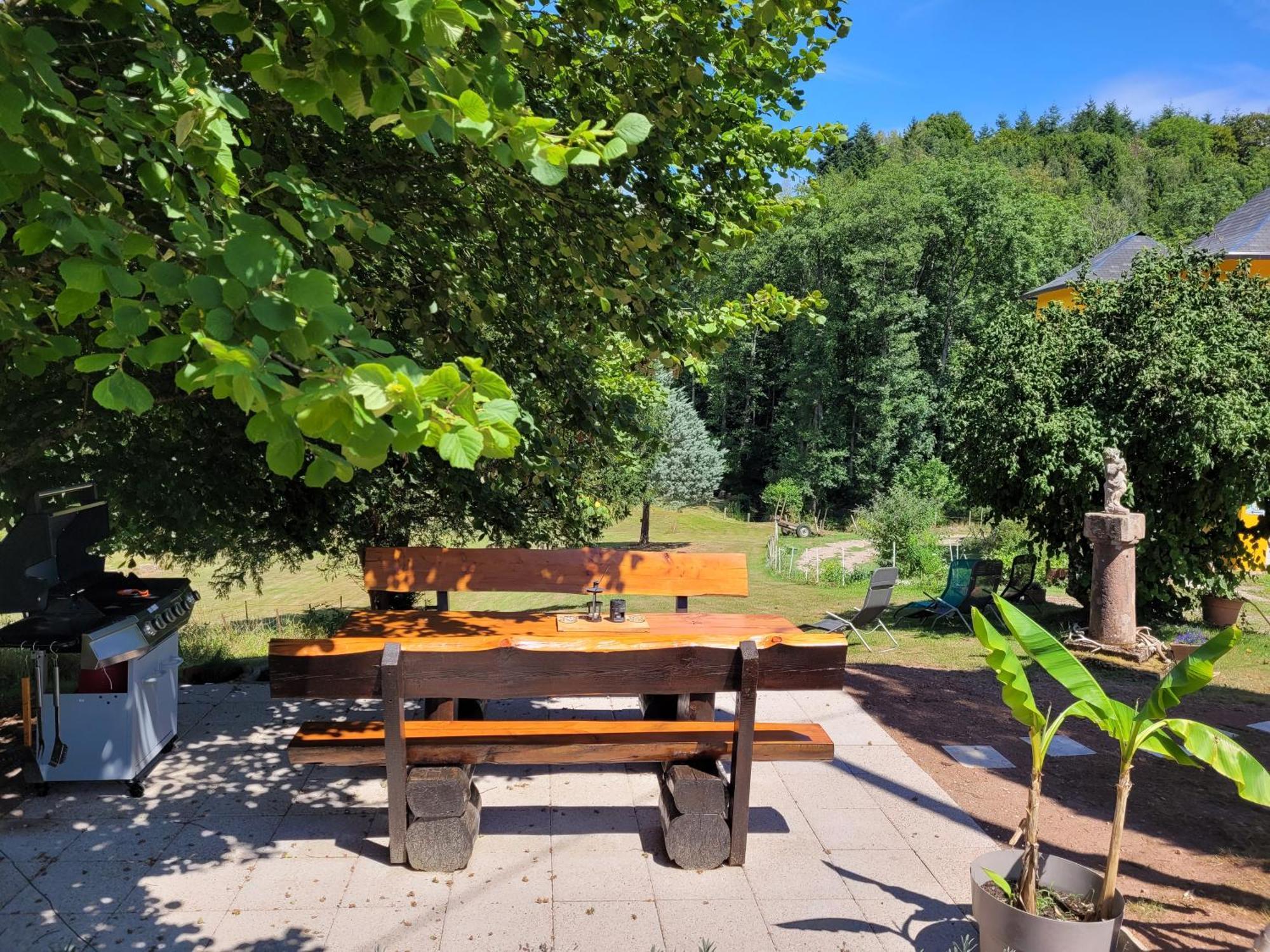 Gite Forestier Du Moulin Raon-sur-Plaine Buitenkant foto