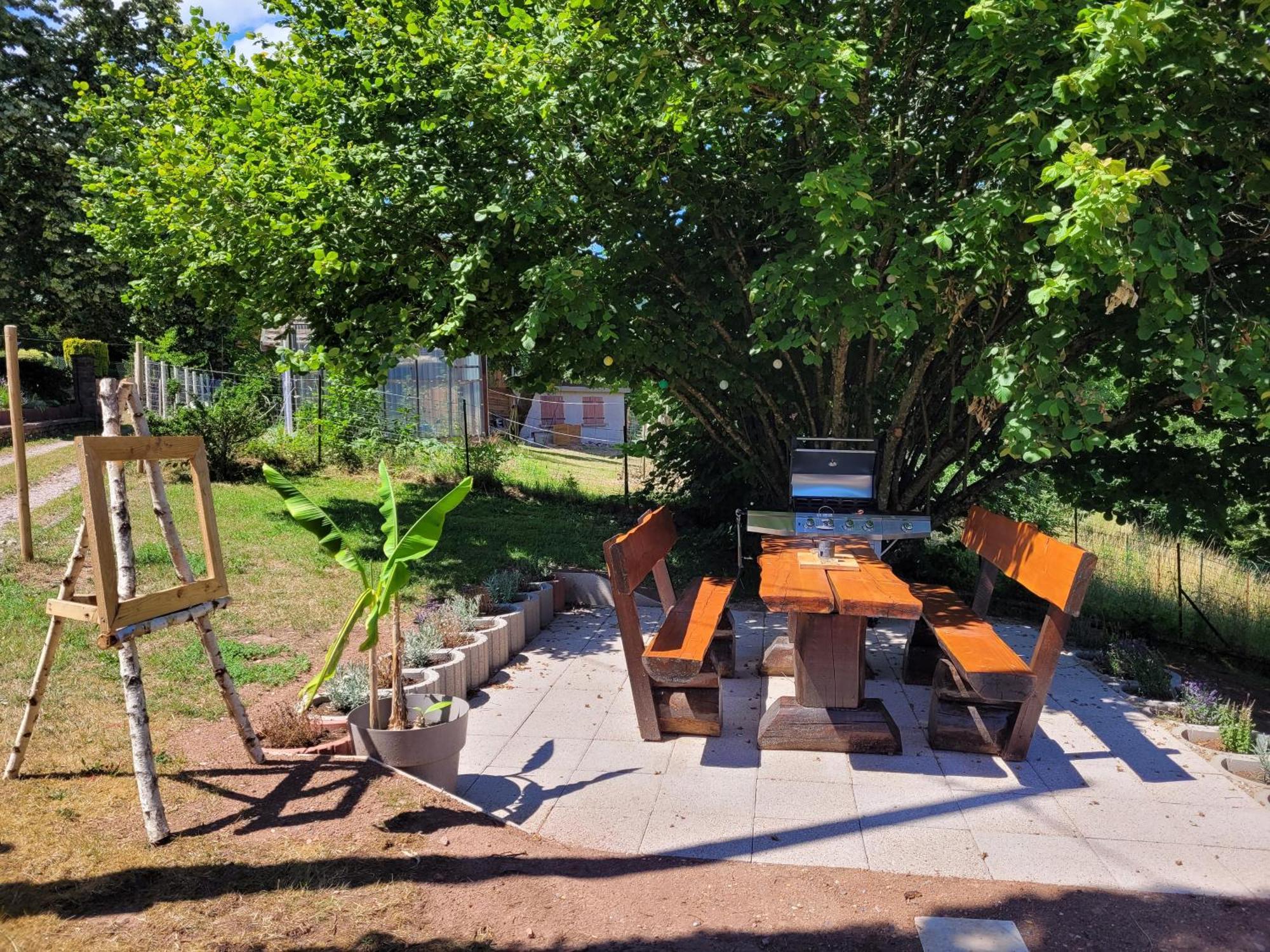 Gite Forestier Du Moulin Raon-sur-Plaine Buitenkant foto