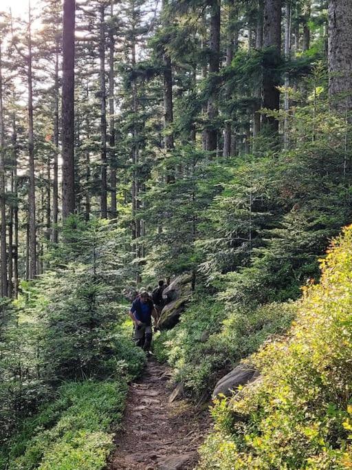 Gite Forestier Du Moulin Raon-sur-Plaine Buitenkant foto