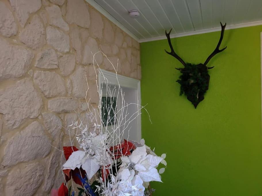 Gite Forestier Du Moulin Raon-sur-Plaine Buitenkant foto