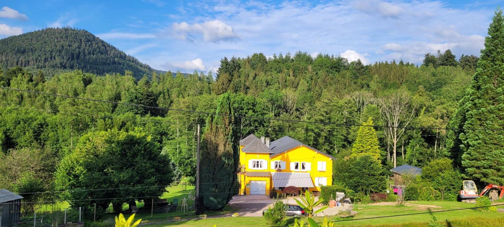 Gite Forestier Du Moulin Raon-sur-Plaine Buitenkant foto