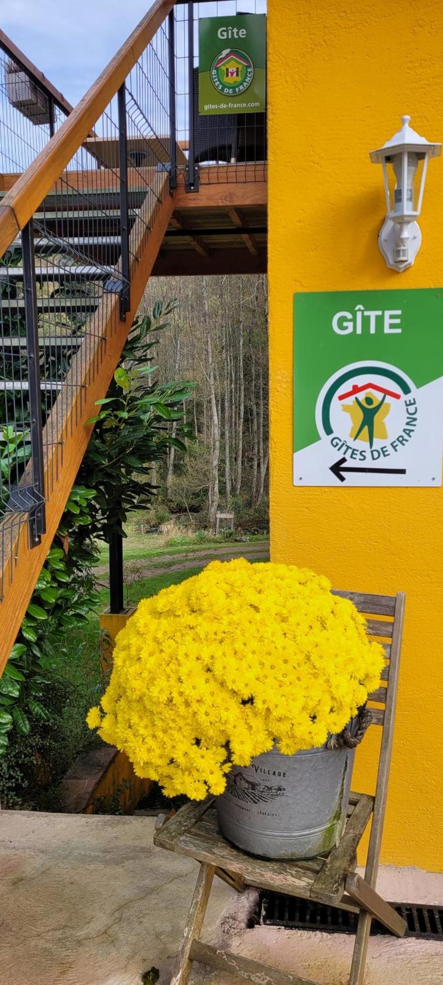 Gite Forestier Du Moulin Raon-sur-Plaine Buitenkant foto