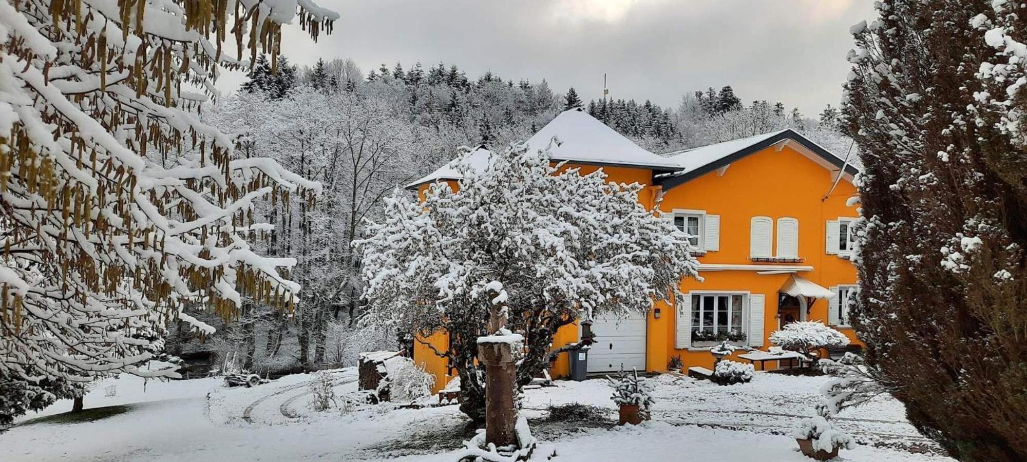 Gite Forestier Du Moulin Raon-sur-Plaine Buitenkant foto