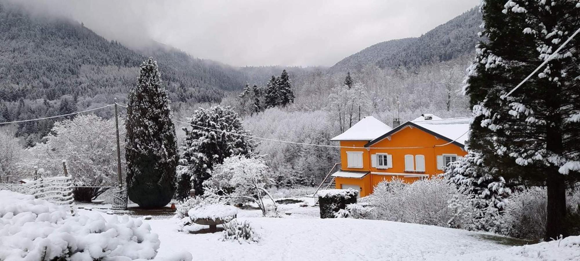 Gite Forestier Du Moulin Raon-sur-Plaine Buitenkant foto