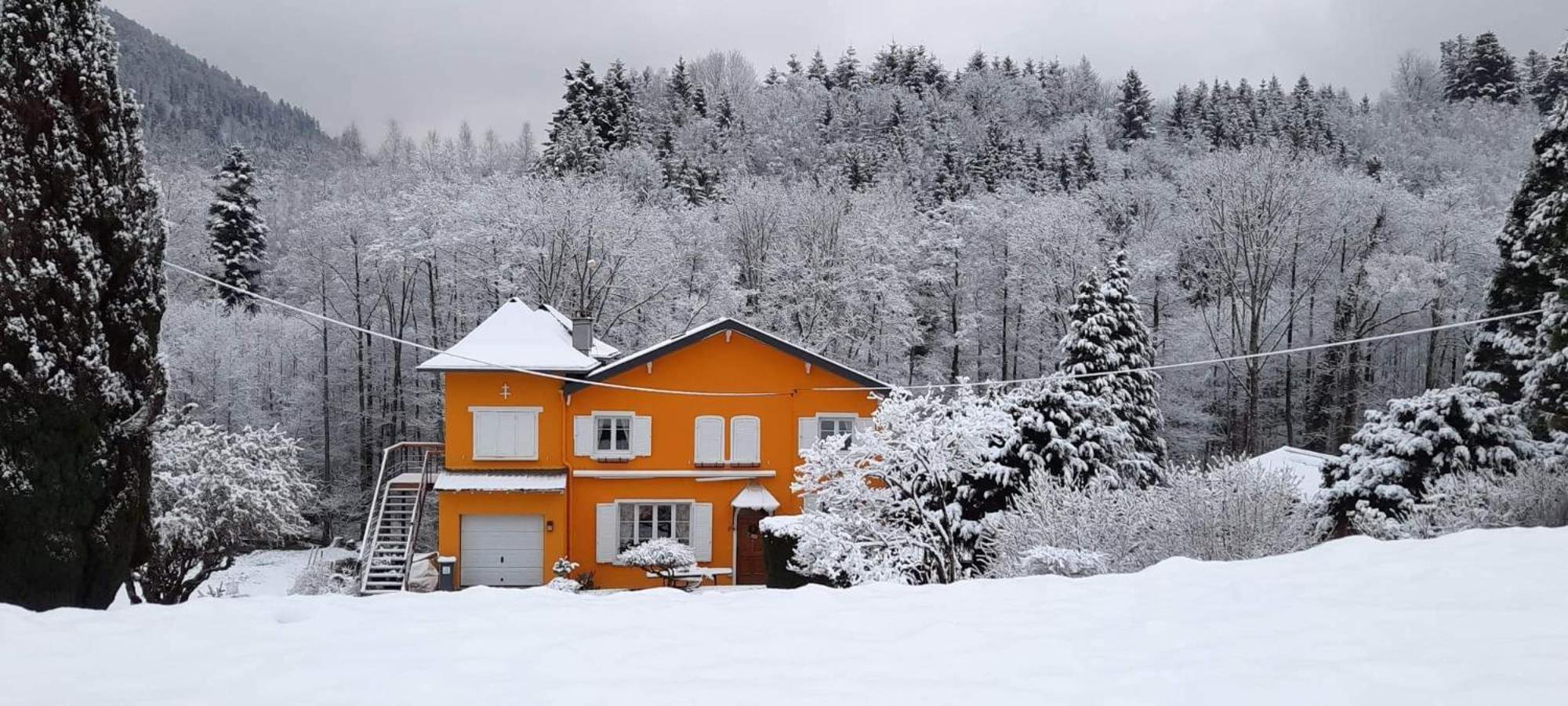 Gite Forestier Du Moulin Raon-sur-Plaine Buitenkant foto